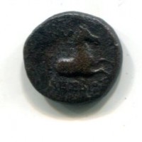 Aiolis, Kyme (250-190 a.C.): bronzo (SNG#90), gr.2,72
