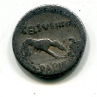 Papia, L. Papius Celsus (45 a.C.): denario (Crawford#472/1)