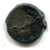 Regno di Numidia, Massinissa (203-118 a.C.): bronzo (SNG COP#505)
